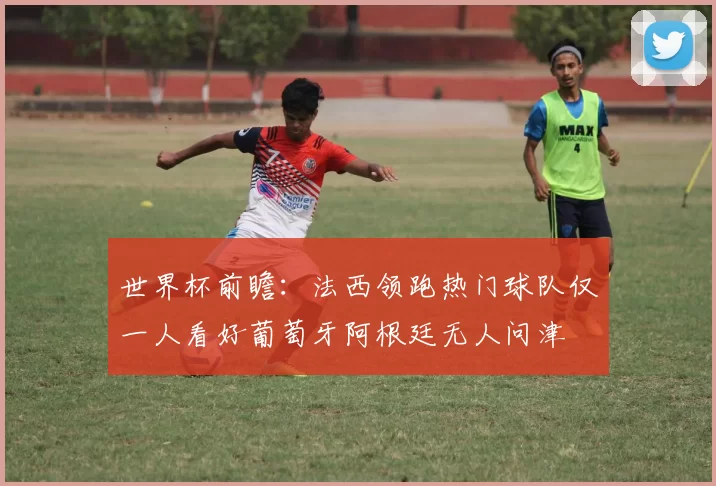 世界杯前瞻：法西领跑热门球队仅一人看好葡萄牙阿根廷无人问津