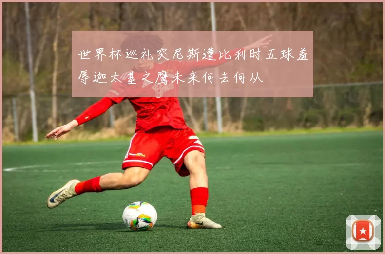世界杯巡礼突尼斯遭比利时五球羞辱迦太基之鹰未来何去何从