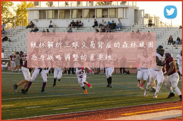铁林解析三球交易背后的森林狼困惑与战略调整的重要性