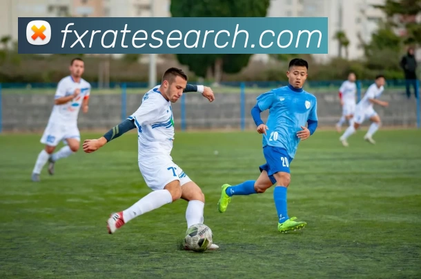 平台展示图